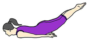 Shalabhasana The Locust Pose Yoga