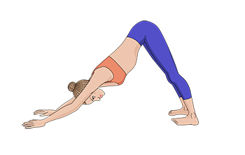 adho mukha svanasana